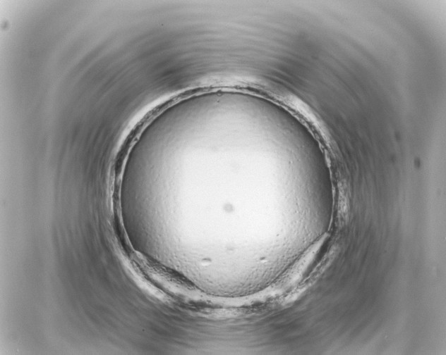 X0000087691124200705251702