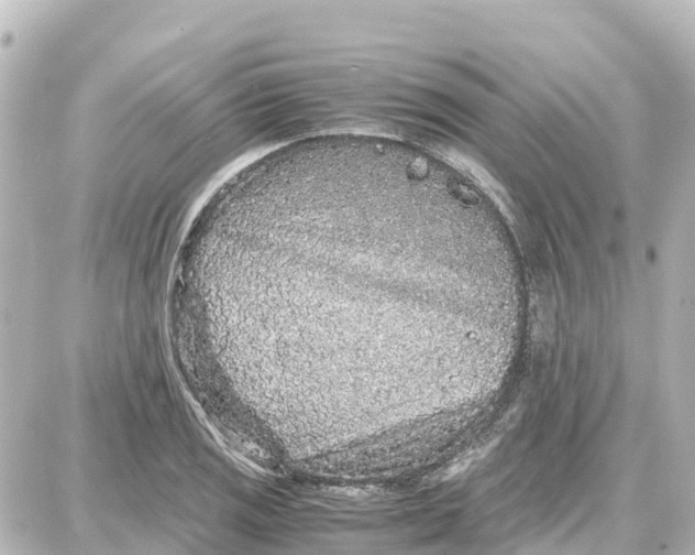 X0000087691125200705251702