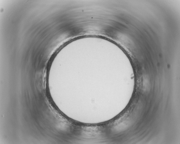 X0000087691126200705251702