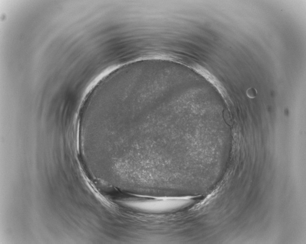 X0000087691127200705251702