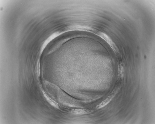 X0000087691128200705251702