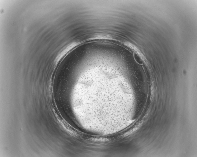 X0000087691129200705251702