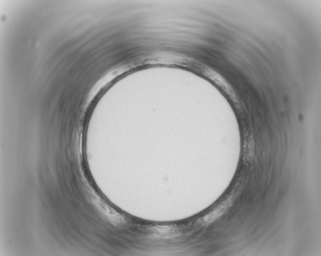 X0000087691130200705251702