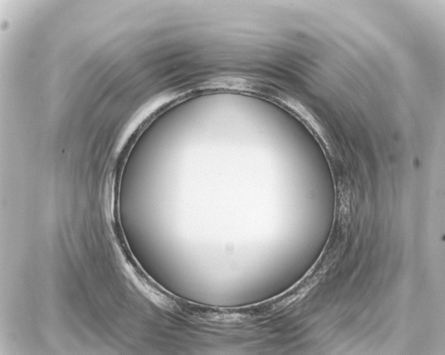 X0000087691131200705251702