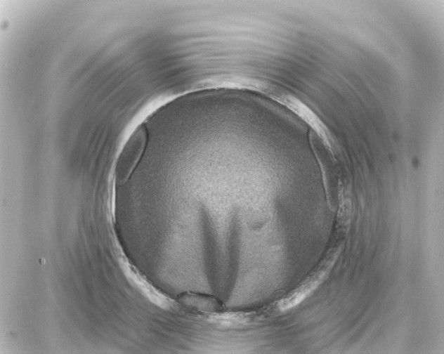 X0000087691132200705251702