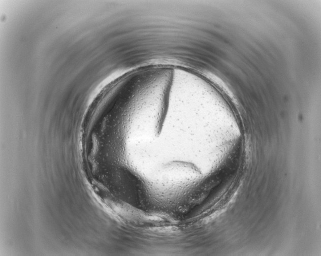 X0000087691133200705251702