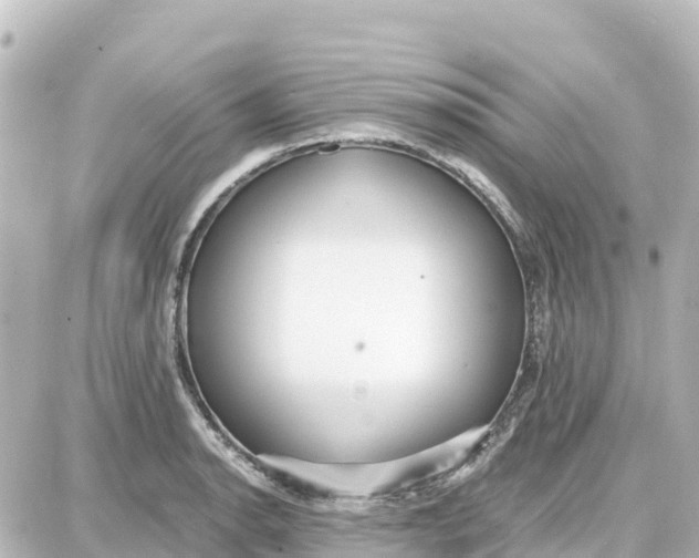 X0000087691134200705251702