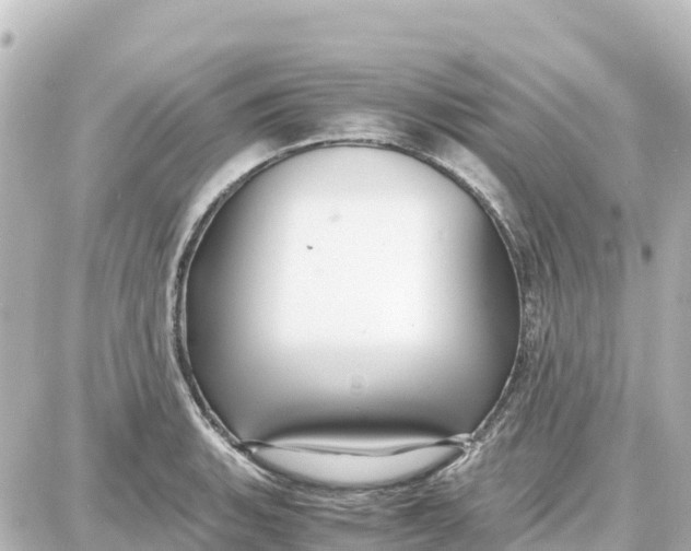 X0000087691135200705251702