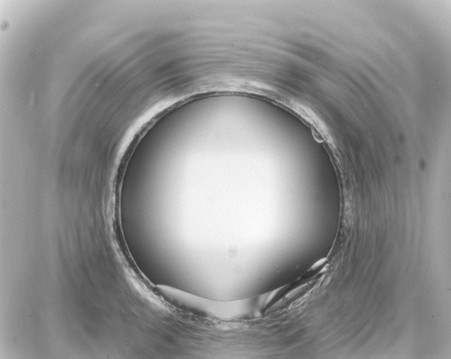 X0000087691136200705251702