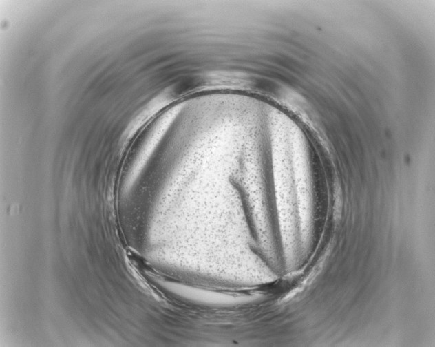 X0000087691137200705251702