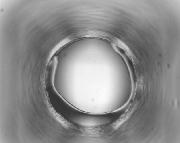 X0000087691138200705251702