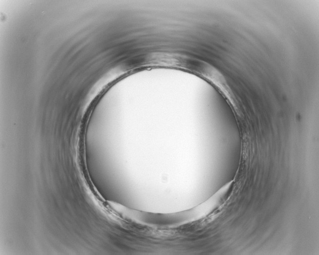 X0000087691139200705251702