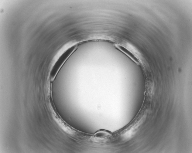 X0000087691140200705251702