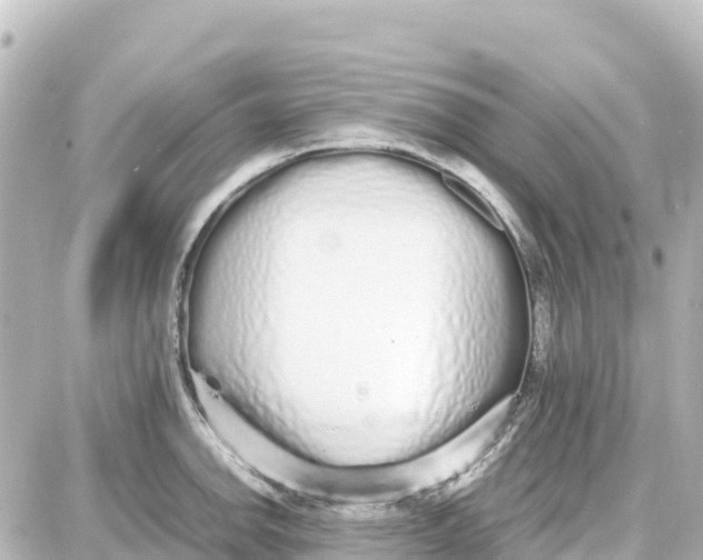 X0000087691142200705251702