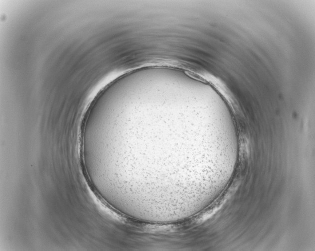 X0000087691143200705251702