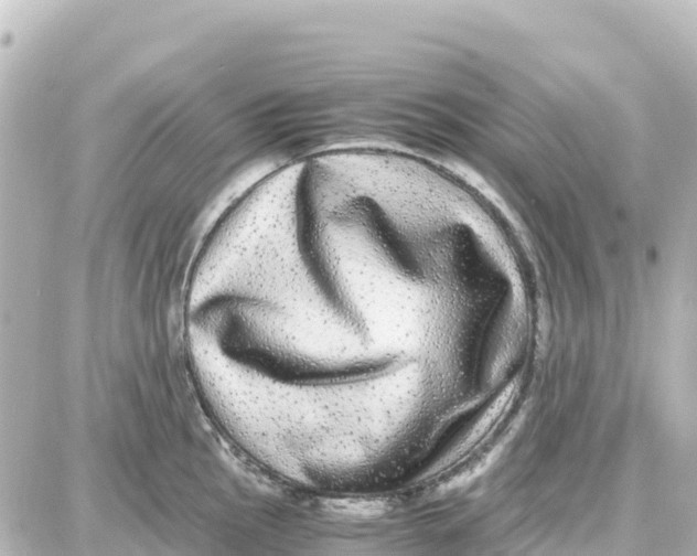 X0000087691145200705251702