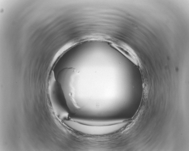 X0000087691146200705251702