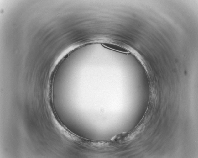 X0000087691147200705251702