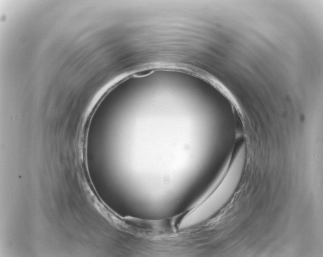 X0000087691148200705251702