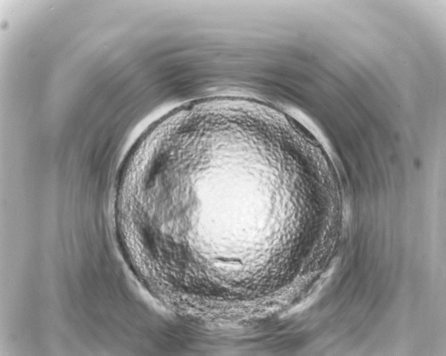 X0000087691149200705251702