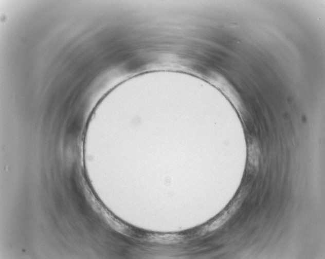 X0000087691150200705251702