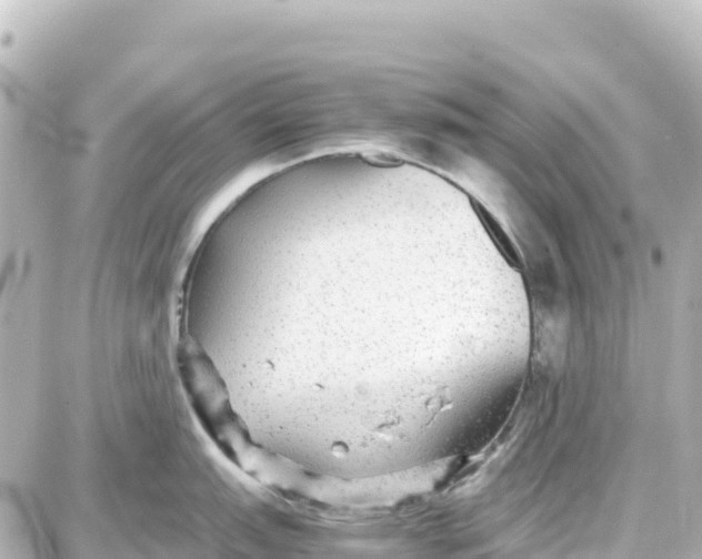 X0000087691151200705251702