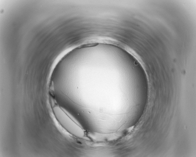 X0000087691152200705251702