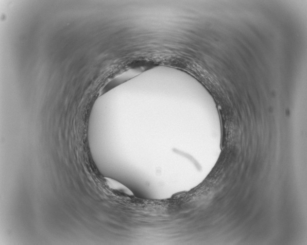 X0000087691153200705251701