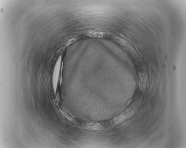 X0000087691154200705251701