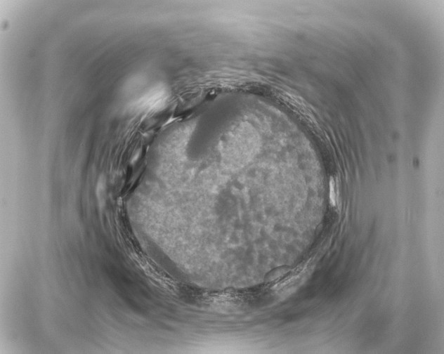 X0000087691155200705251701