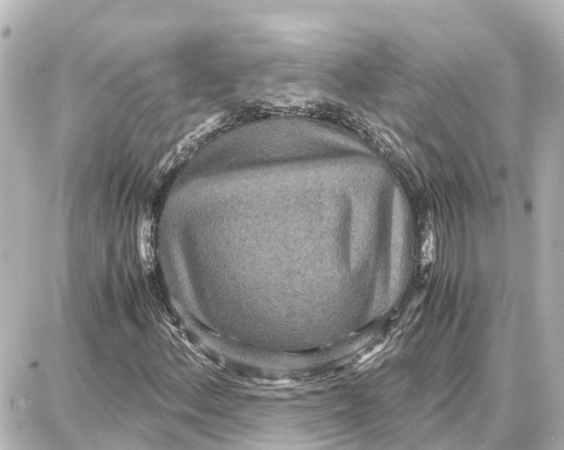 X0000087691156200705251701