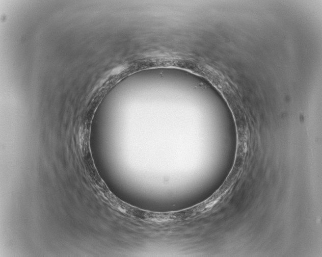 X0000087691157200705251701