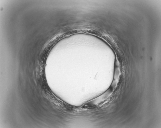 X0000087691159200705251701