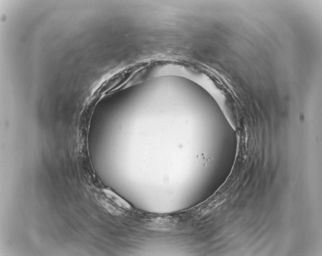 X0000087691160200705251701