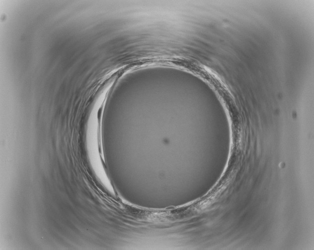 X0000087691161200705251701