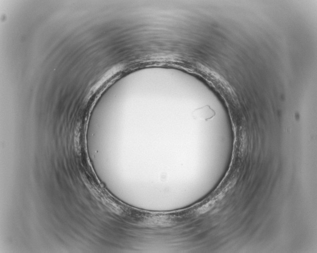 X0000087691162200705251701