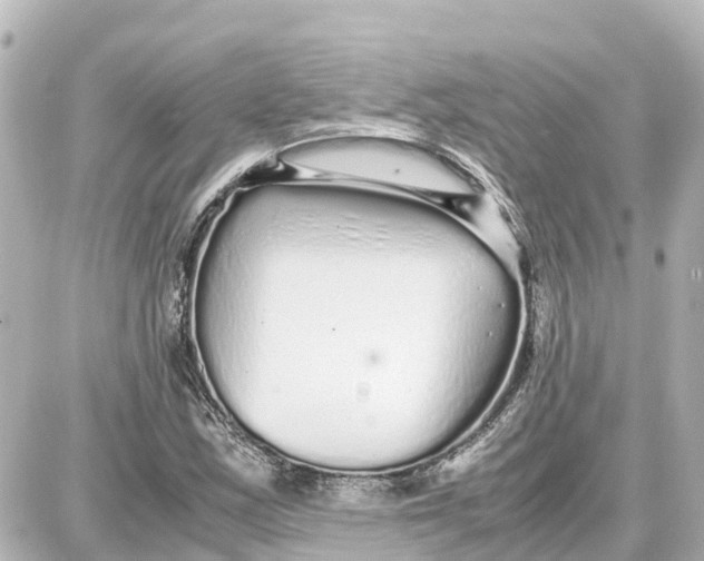 X0000087691163200705251701