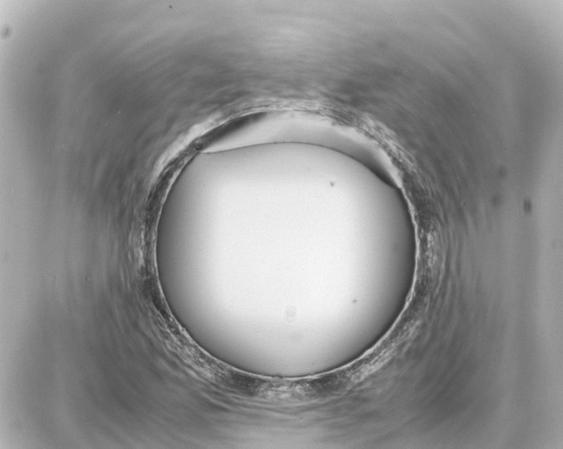 X0000087691165200705251701