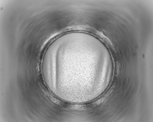 X0000087691166200705251701