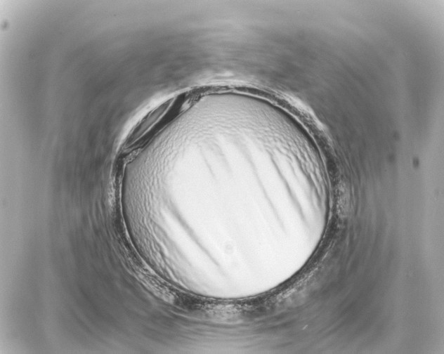 X0000087691167200705251701