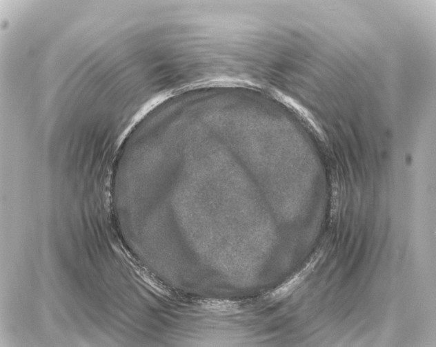 X0000087691170200705251701