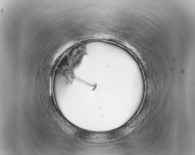 X0000087691171200705251701