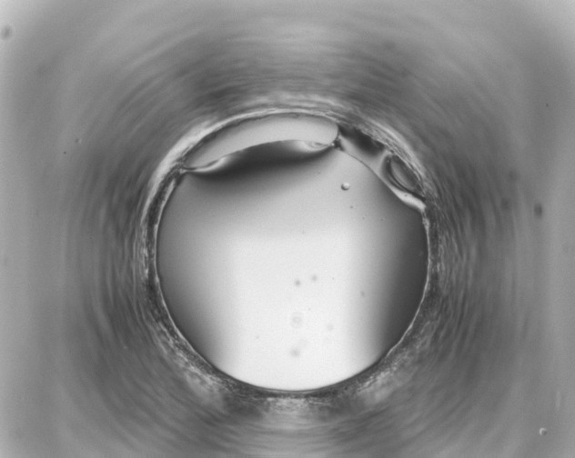 X0000087691172200705251701