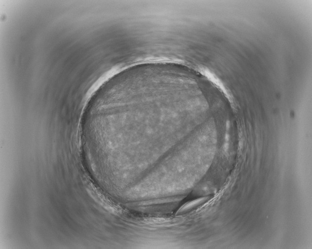 X0000087691173200705251701