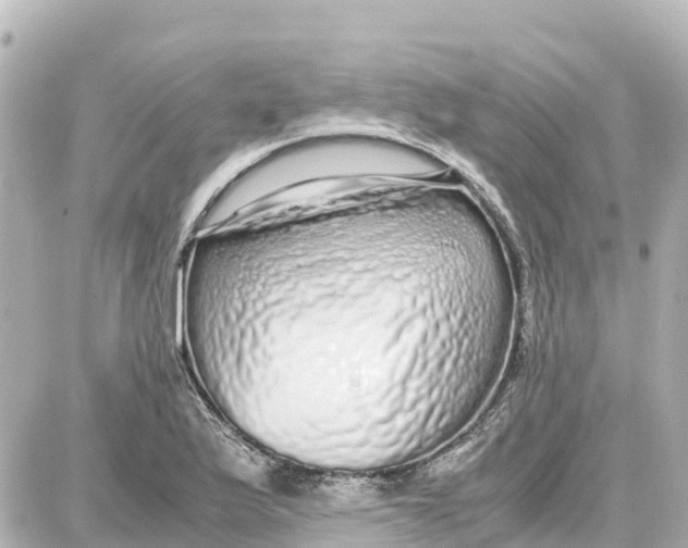 X0000087691175200705251701