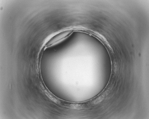 X0000087691176200705251701