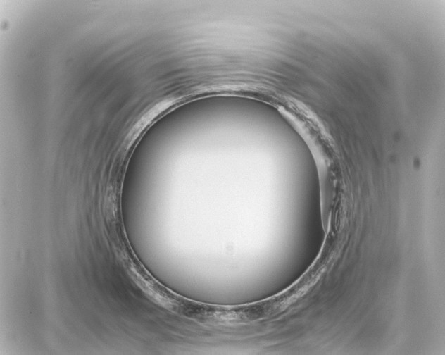 X0000087691177200705251701