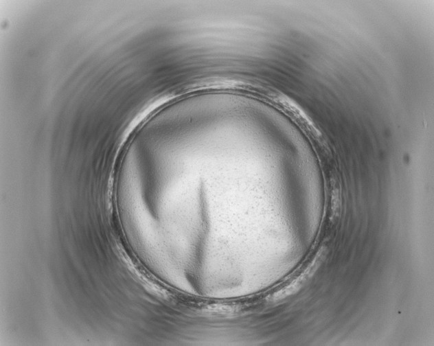 X0000087691178200705251701