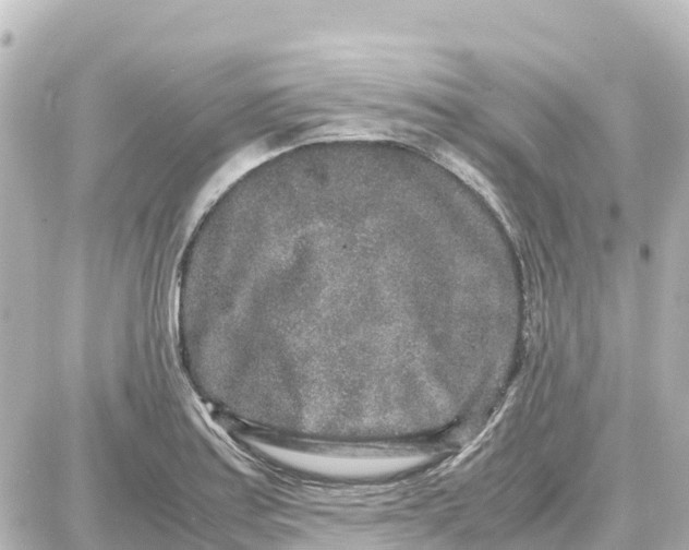 X0000087691179200705251701