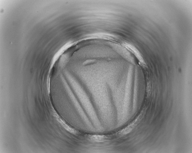 X0000087691180200705251701